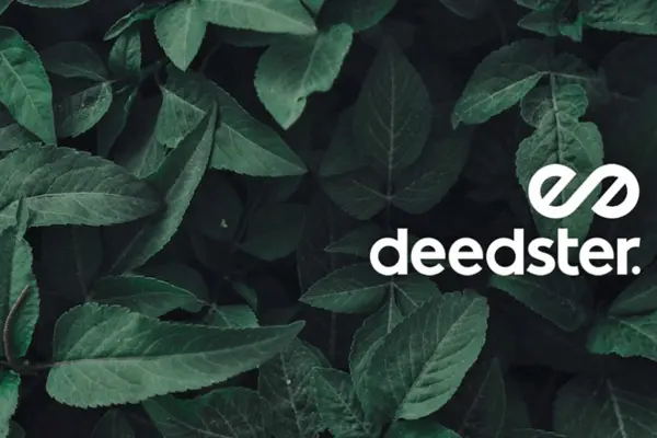 Grüne Blätter mit dem Logo der App "Deedster" 