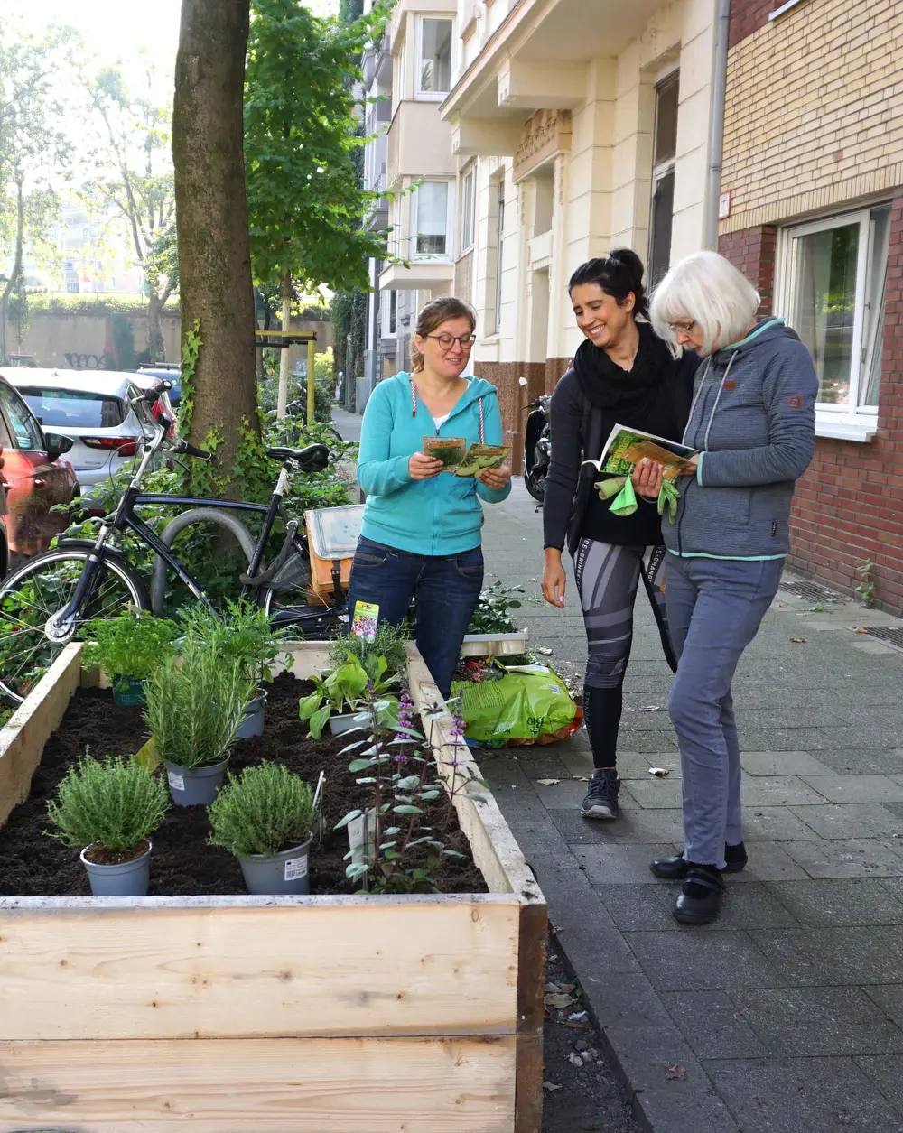 Hochbeet in einem Wohngebiet in Düsseldorf