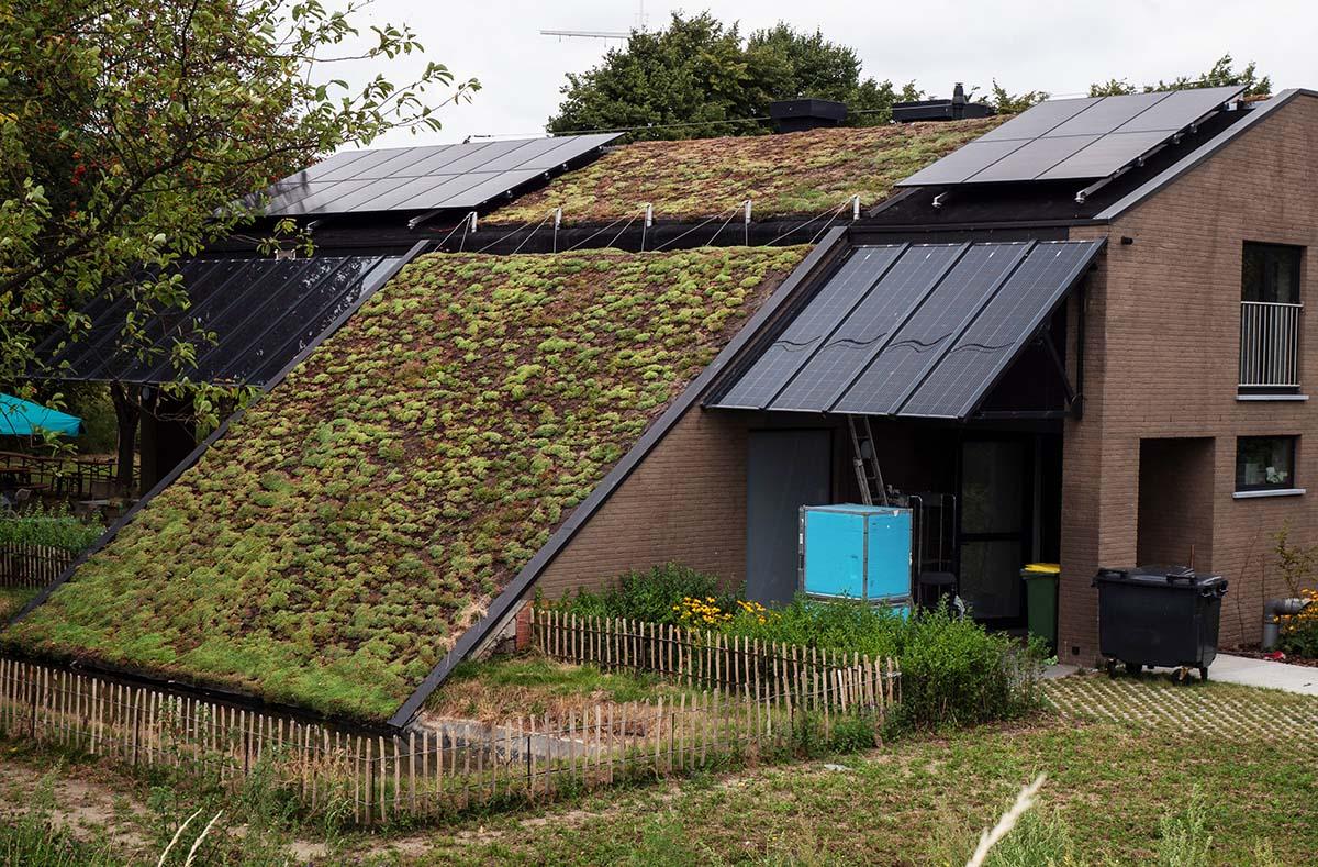 Begrünung eines Steildaches