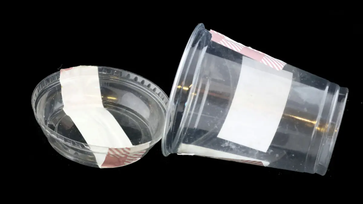 Zwei Plastikbecher