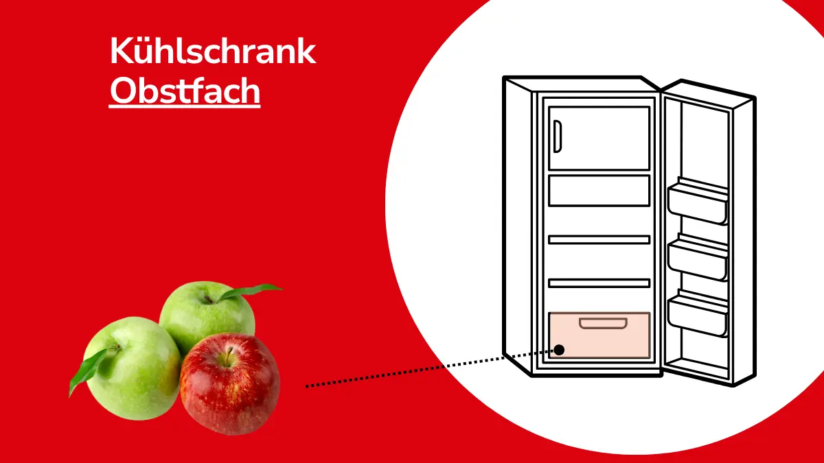 Das Bild zeigt, wo Äpfel gelagert werden: im Kühlschrank im Obstfach.