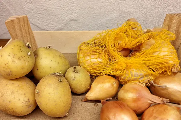 Kartoffeln und Zwiebeln liegen nebeneinander in einer Kiste.