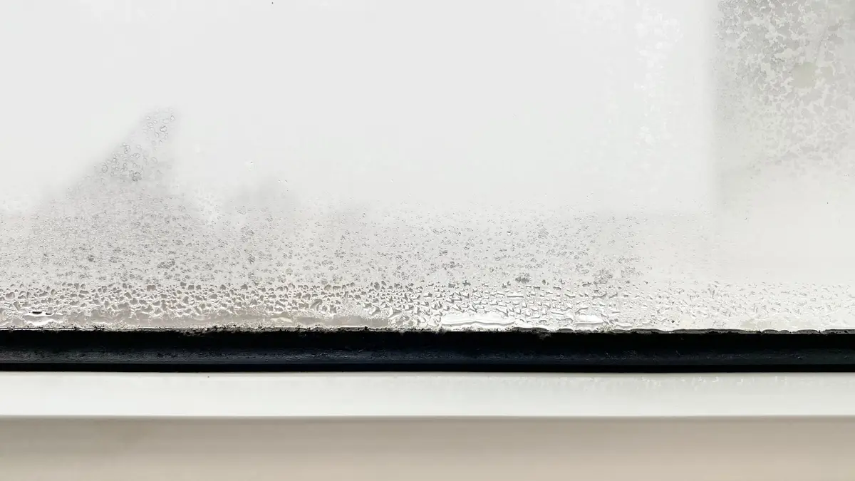 Fenster beschlagen durch Feuchtigkeit