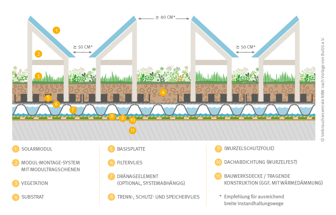 Querschnitt eines extensiven Solargründaches (Ost-West-Ausrichtung)Querschnitt eines extensiven Solargründach (Ost-West-Ausrichtung)​​​​