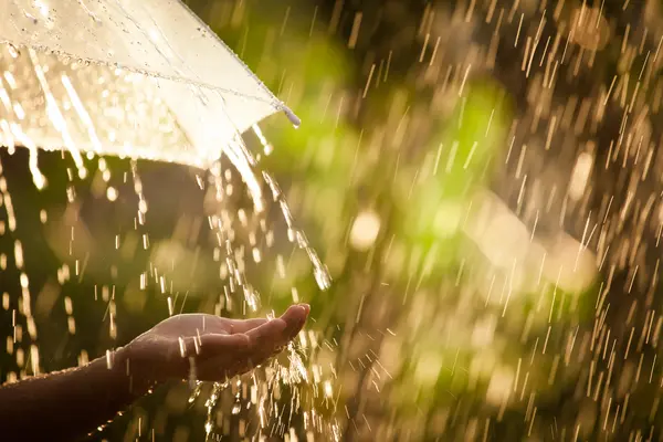 Regen und Regenschirm