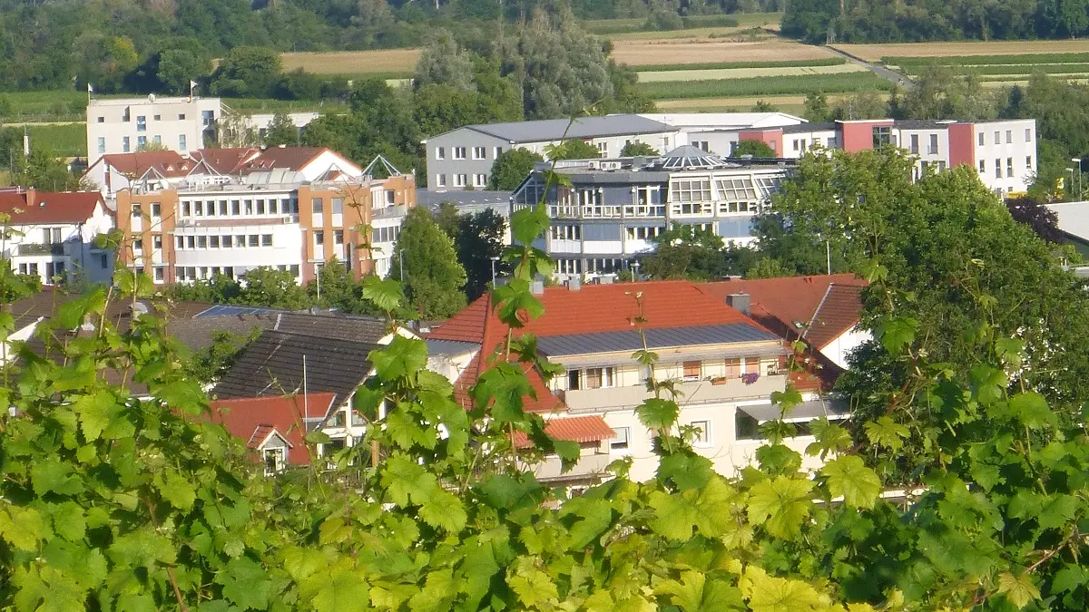 Blick auf die Stadt Oppenheim.
