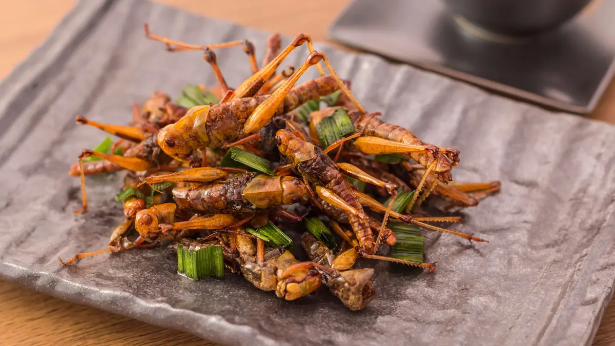 Insekten zum Essen auf dem Teller
