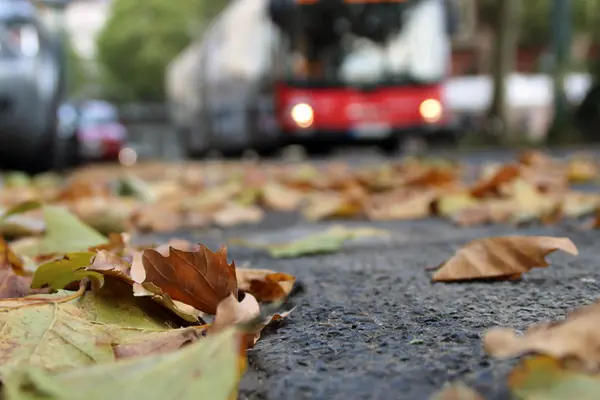 Blätter liegen auf einer Straße, im Hintergrund sind ein parkendes Auto und ein fahrender Bus zu sehen.