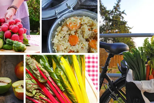 Bildcollage mit verschiedenen Obst- und Gemüsesorten