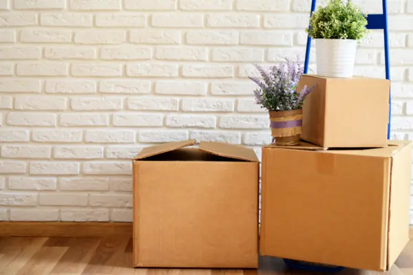 Umzugskartons stehen in einem leeren Zimmer