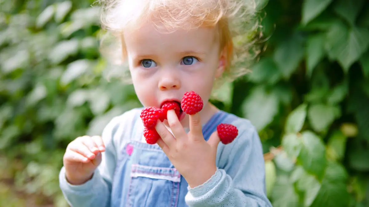 Kindergartenking im Garten mit Himbeeren auf Fingern
