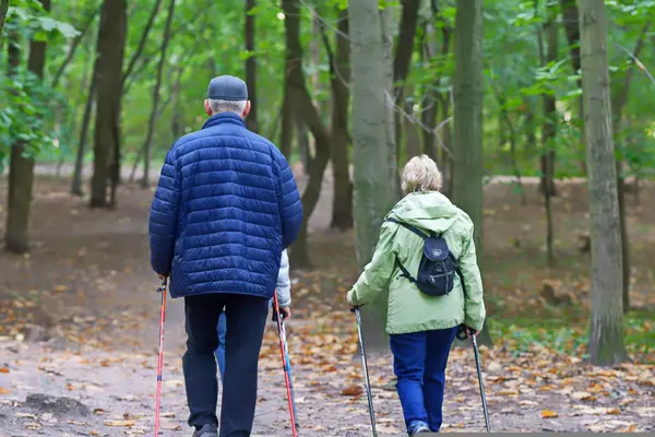 Zwei Senioren wandern im Wald