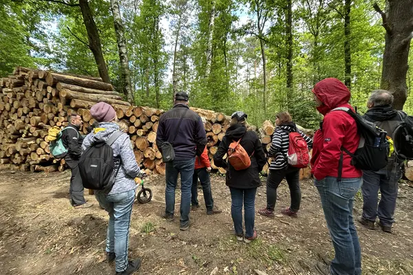 Baumpflanzaktion im Landkreis Meißen
