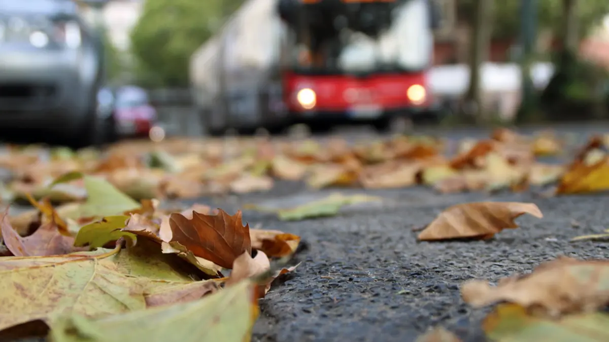 Blätter liegen auf einer Straße, im Hintergrund sind ein parkendes Auto und ein fahrender Bus zu sehen.
