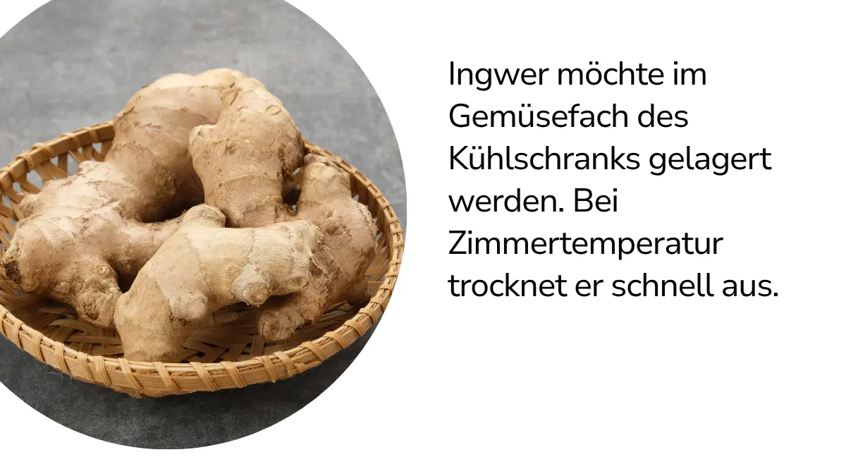 Ingwer mit Text ,,Ingwer möchte im Gemüsefach des Kühlschranks gelagert werden. Bei Zimmertemperatur trocknet er schnell aus." 