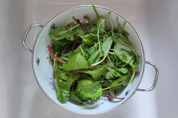 In einem weißen Sieb liegt vorgeschnittener Salat