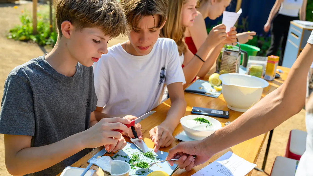 Schüler beim zubereiten der frische geernteten Kräuter aus dem Hochbeet