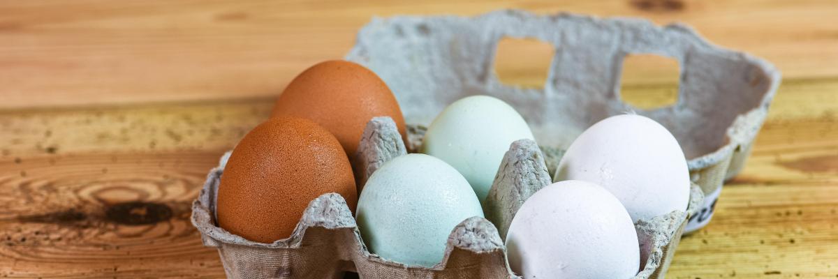 Pappeierpackung mit weißen und braunen Eiern
