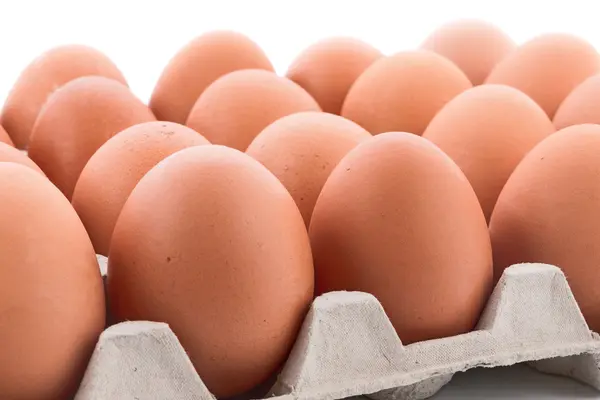 Frische Eier