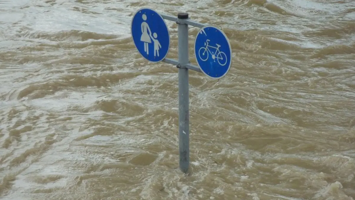 Verkehrsschilder (Fußgänger und Radfahrer) in einer Flut