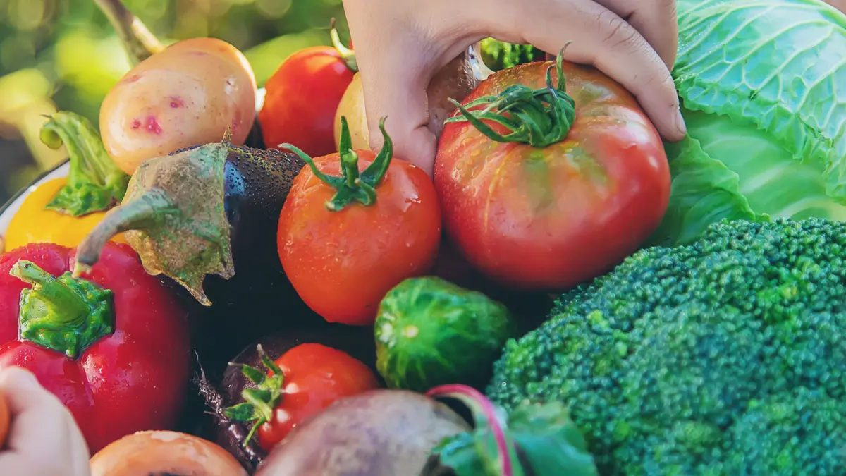Hand greift Tomate aus einem Korb mit frischem Gemüse