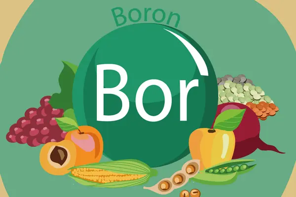 Bor Borax Borsäure in Lebensmitteln
