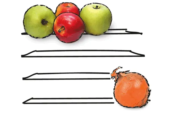 Zeichnung: Äpfel und Zwiebel