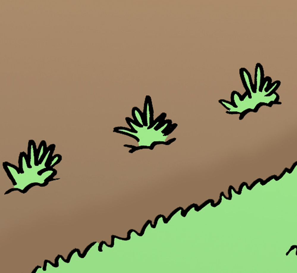 kleine Pflanzen in Beet