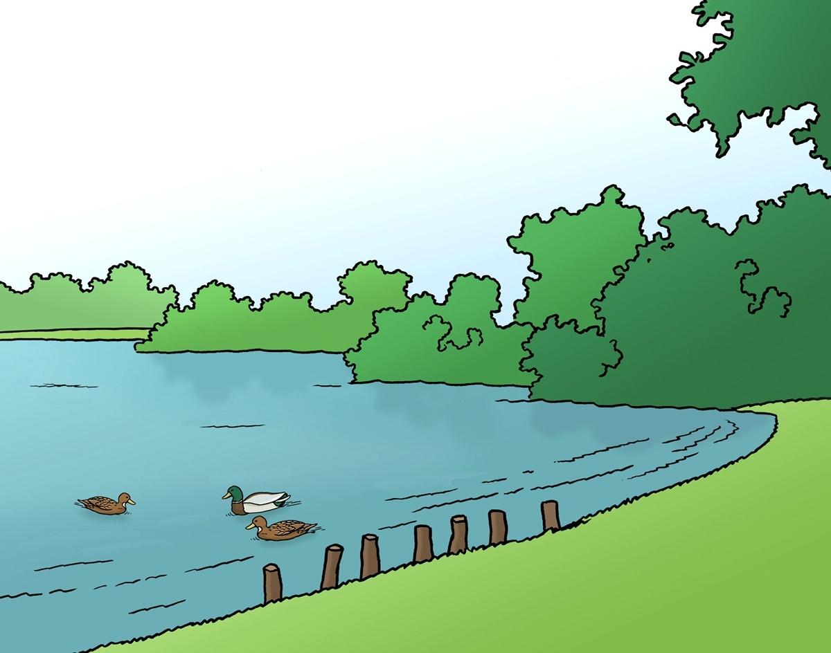 See mit Enten