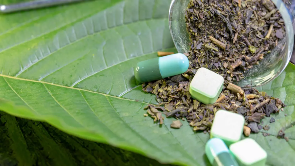 Kratom Wirkung gegen Schmerzen, Entzündungen oder Depressionen ist nicht belegt