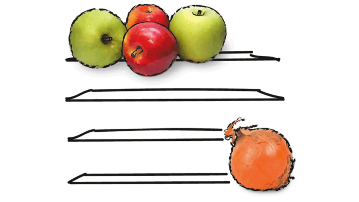 Zeichnung: Äpfel und Zwiebel