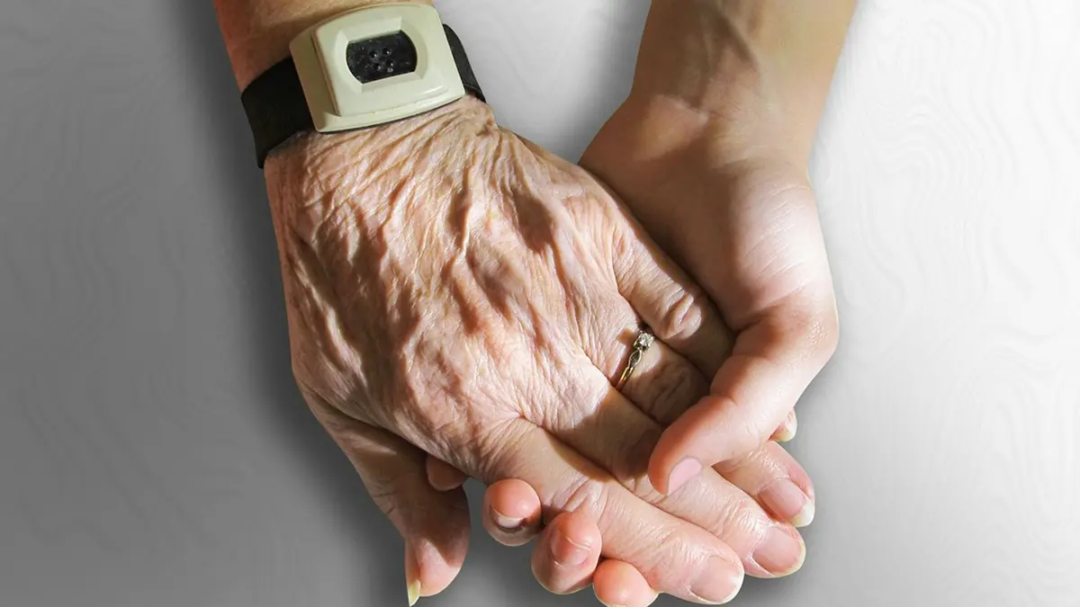 eine junge Hand hält eine alte