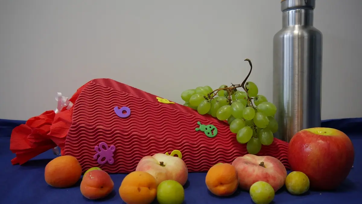 Schultüte mit Obst und einer Alu-Getränkeflasche.