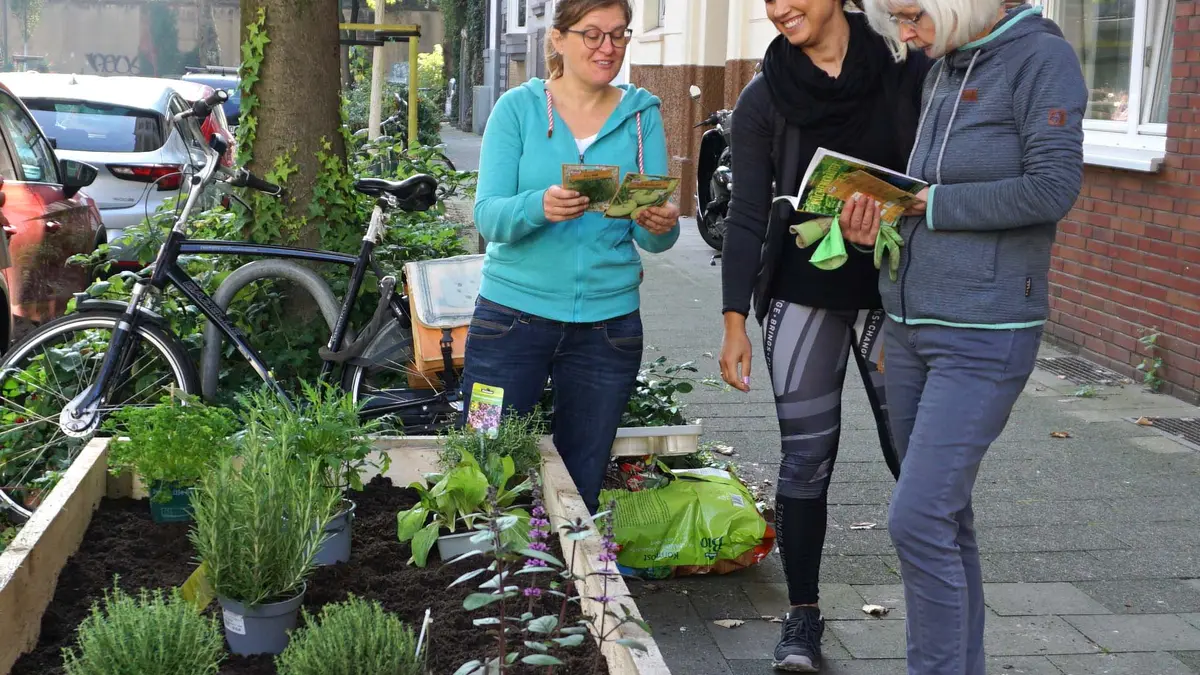 Hochbeet in einem Wohngebiet in Düsseldorf
