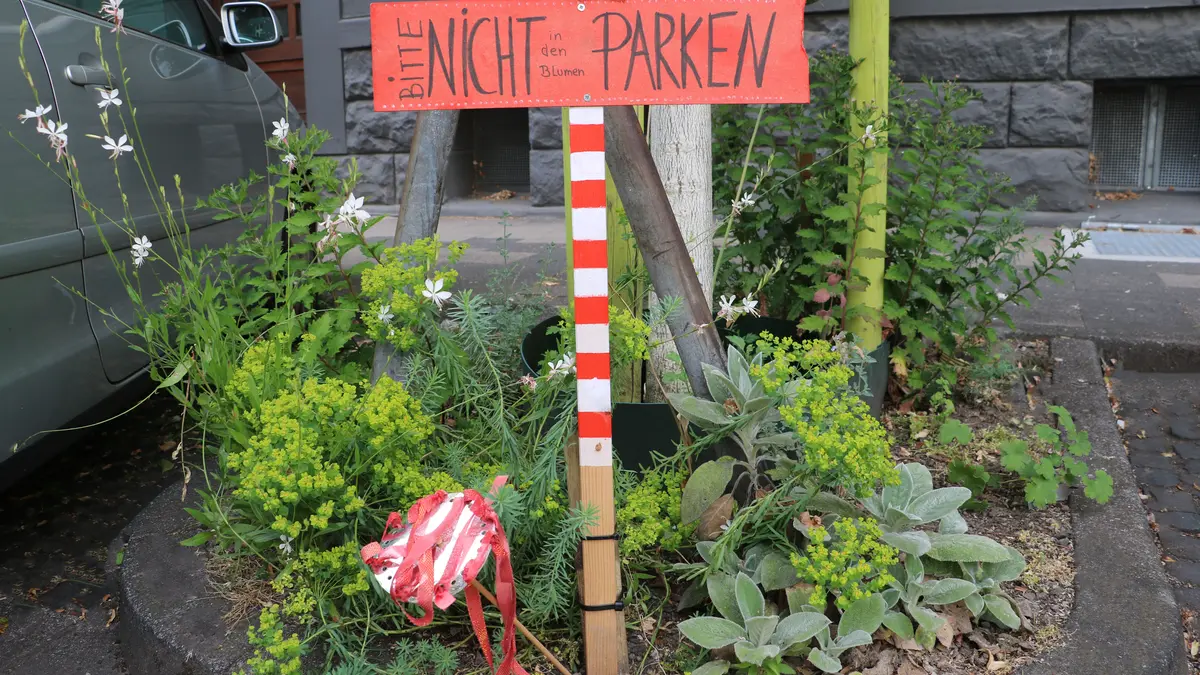 Begrünte Baumscheibe in der Stadt