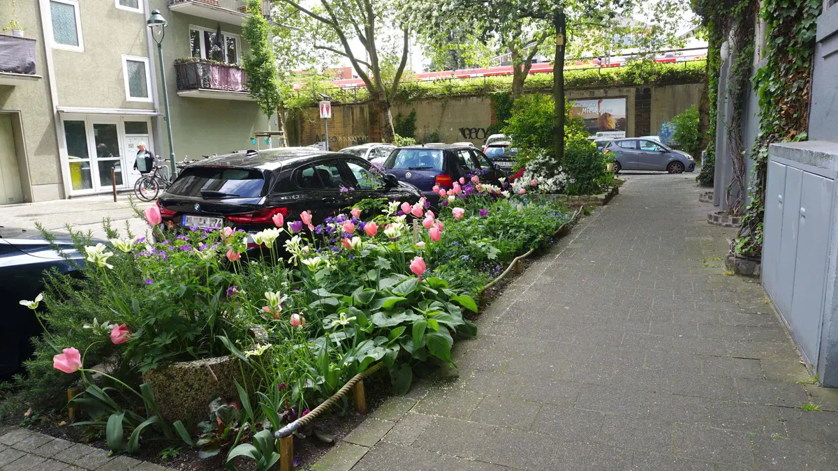 Bepflanzter Grünstreifen in Düsseldorf
