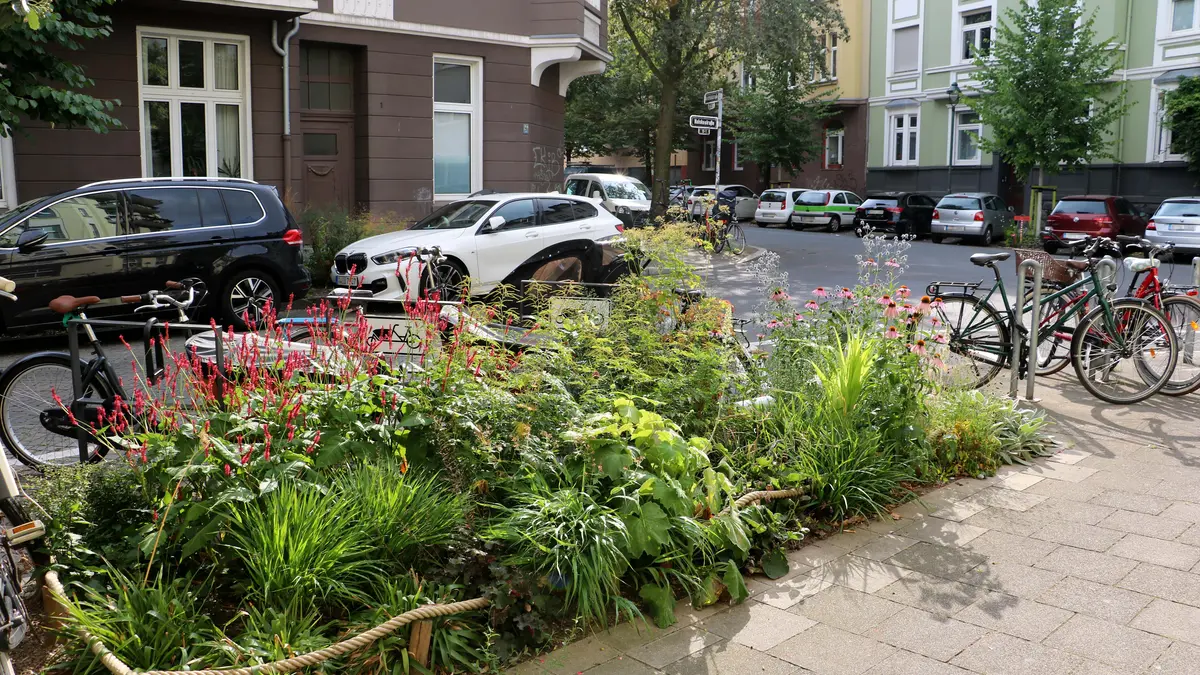 Bepflanzter Grünstreifen in der Stadt an Radstellplatz