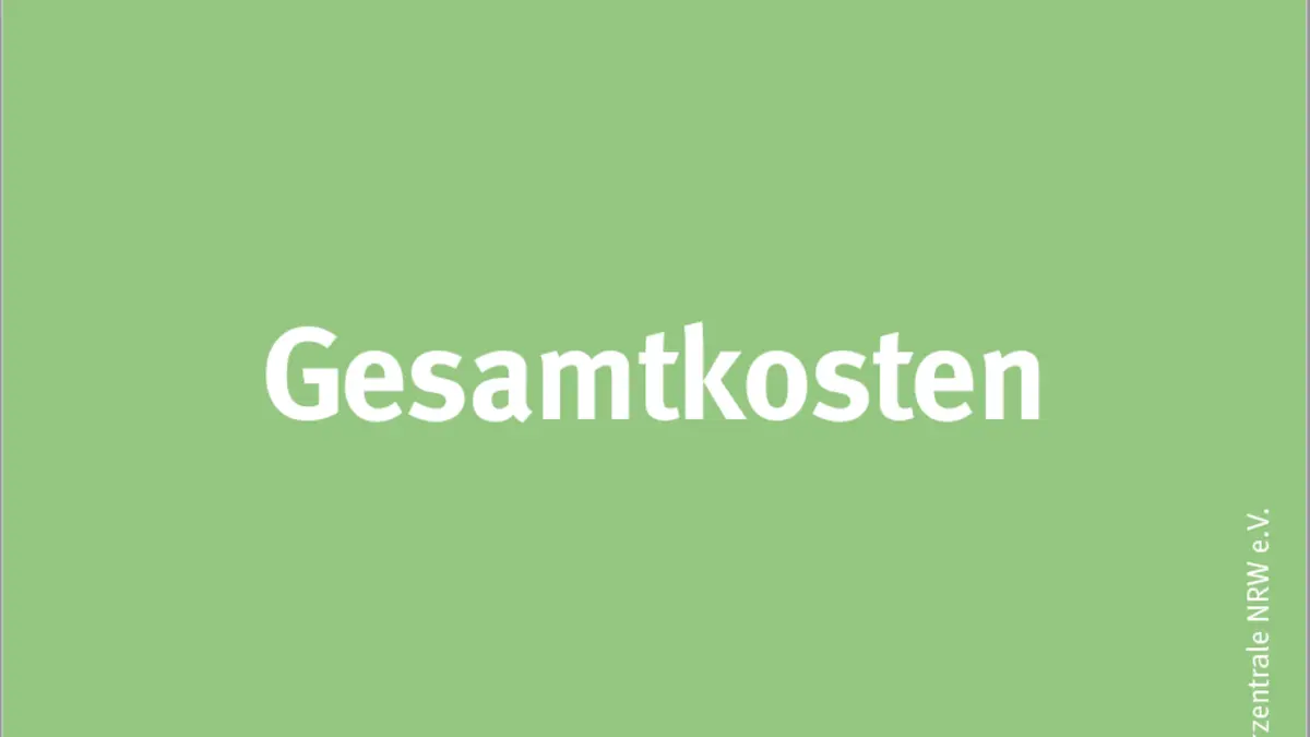 Schriftzug Gesqamtkosten