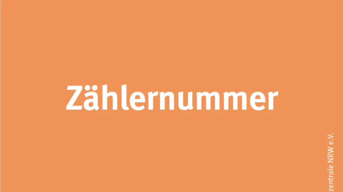 Schriftzug Zählernummer