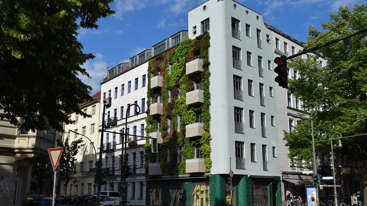 Fassadenbegrünung an einem Mehrfamilienhaus