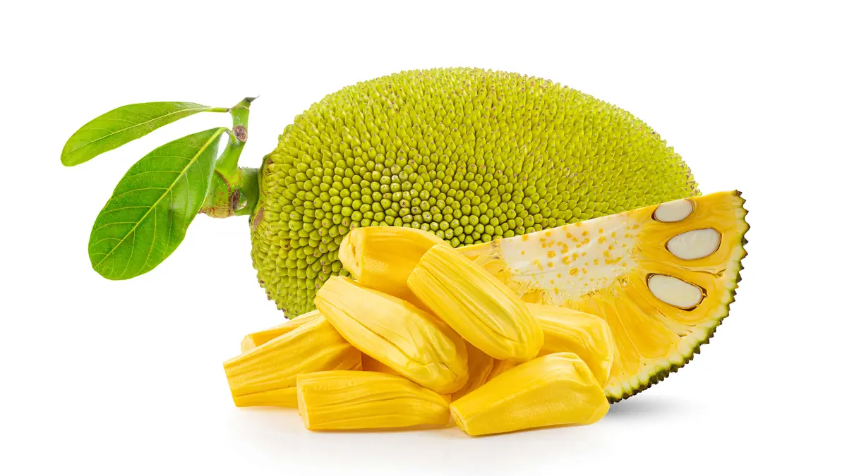 Eine Jackfruit