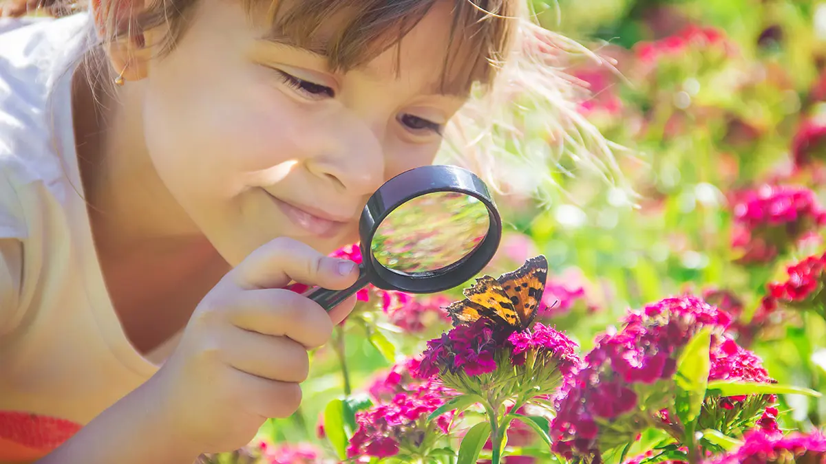 Mädchen betrachtet Schmetterling auf einer Blüte unter einer Lupe