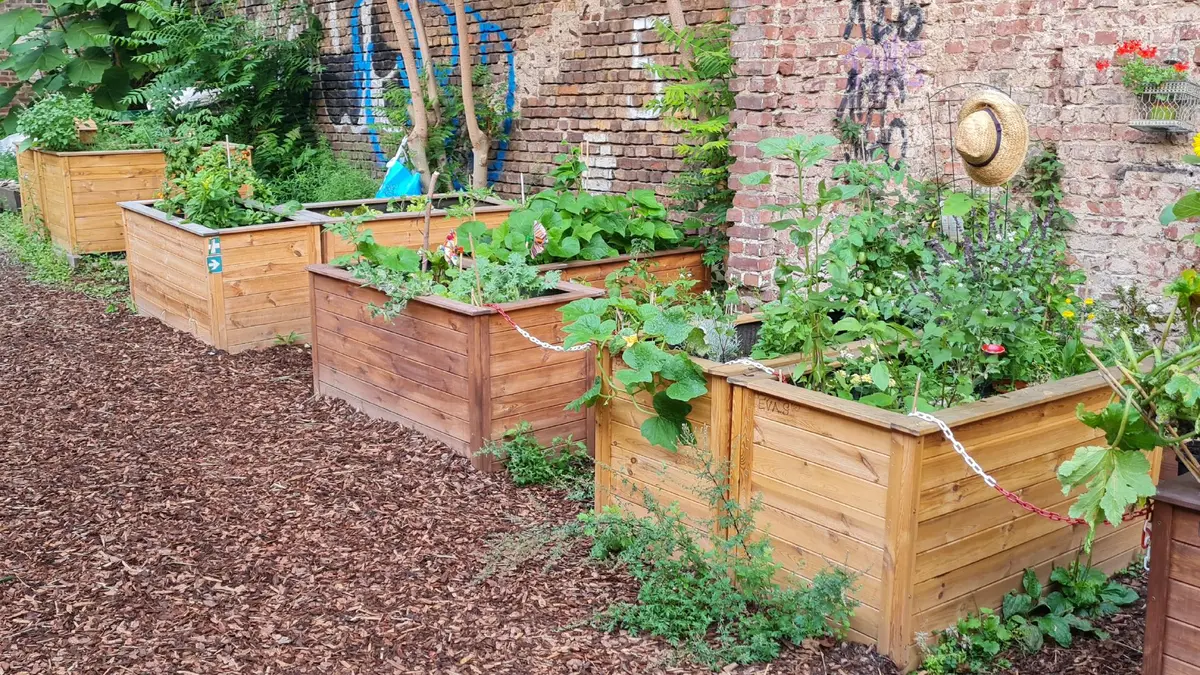 Gemeinschaftsgarten Schmitzundkunzt. Auf dem Bild sind bepflanzte Hochbeete zu sehen.