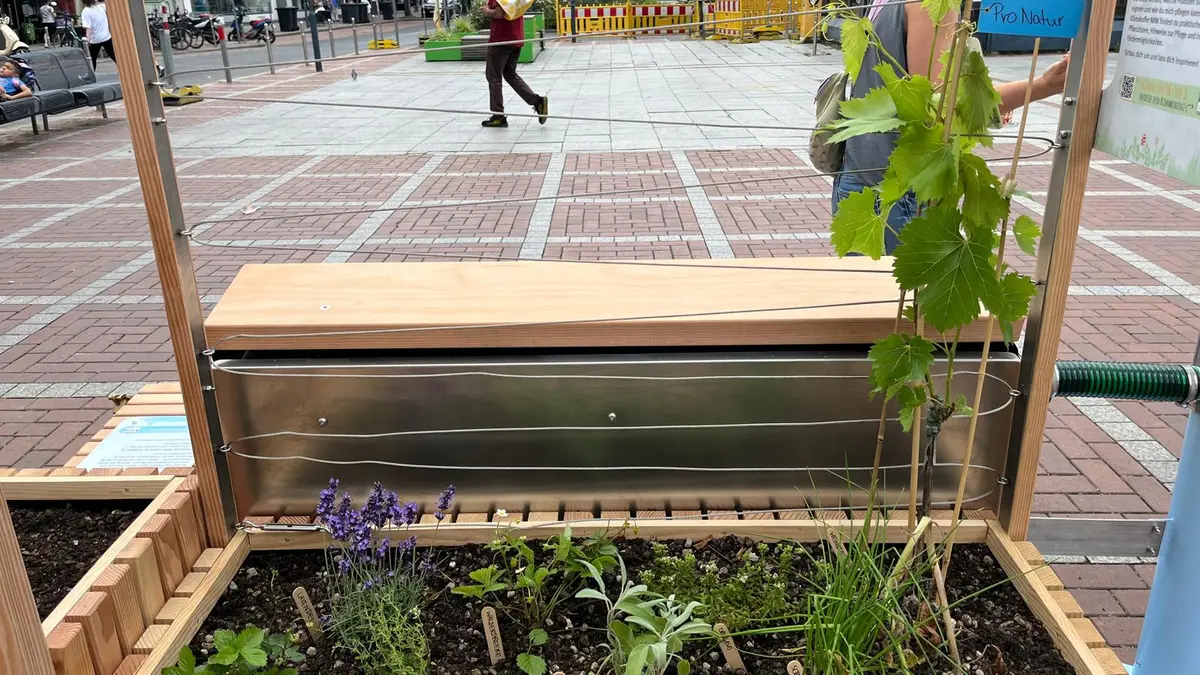 Blick auf das Modul Fassadenbegrünung der Ausstellung Regen retten - Stadt begrünen