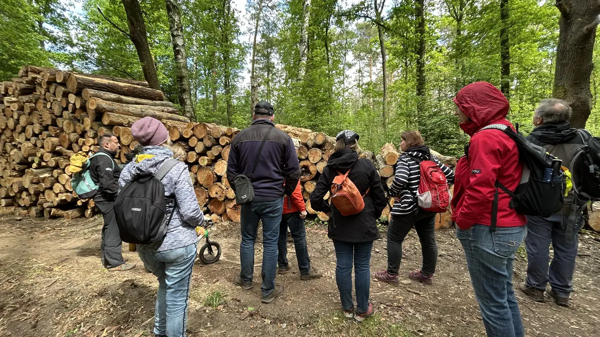 Baumpflanzaktion im Landkreis Meißen