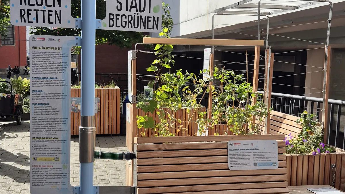 Blick auf die Ausstellungsmodule und den Regendieb