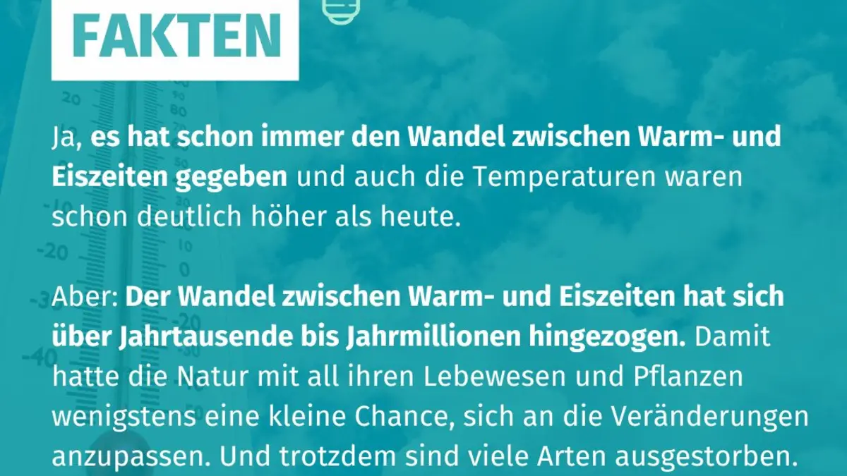 Im Hintergrund ist ein Thermometer zu sehen mit Klima-Fakt