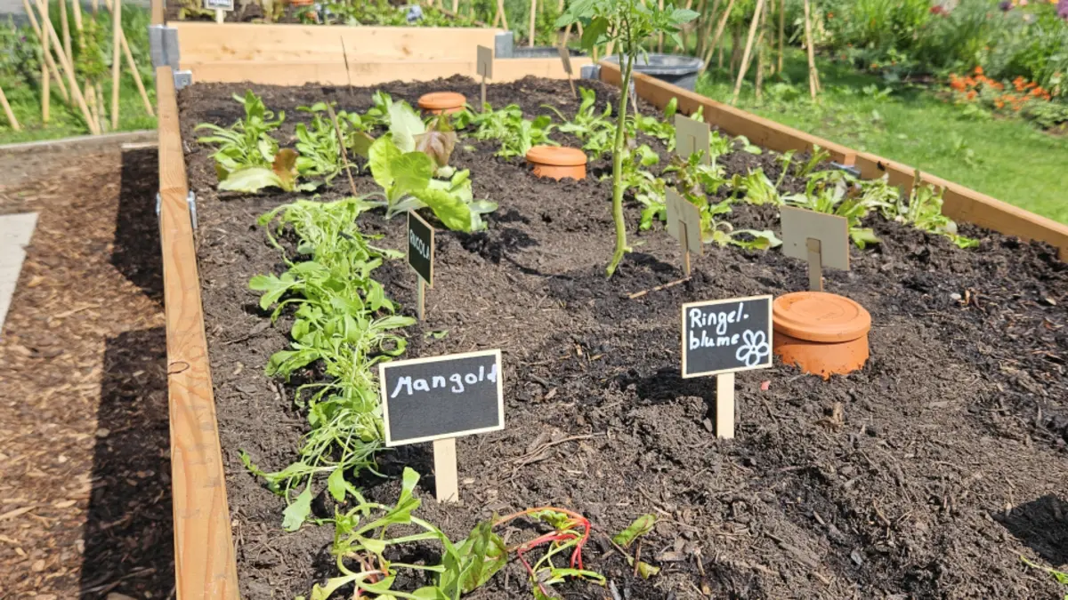 Hochbeet Workshop