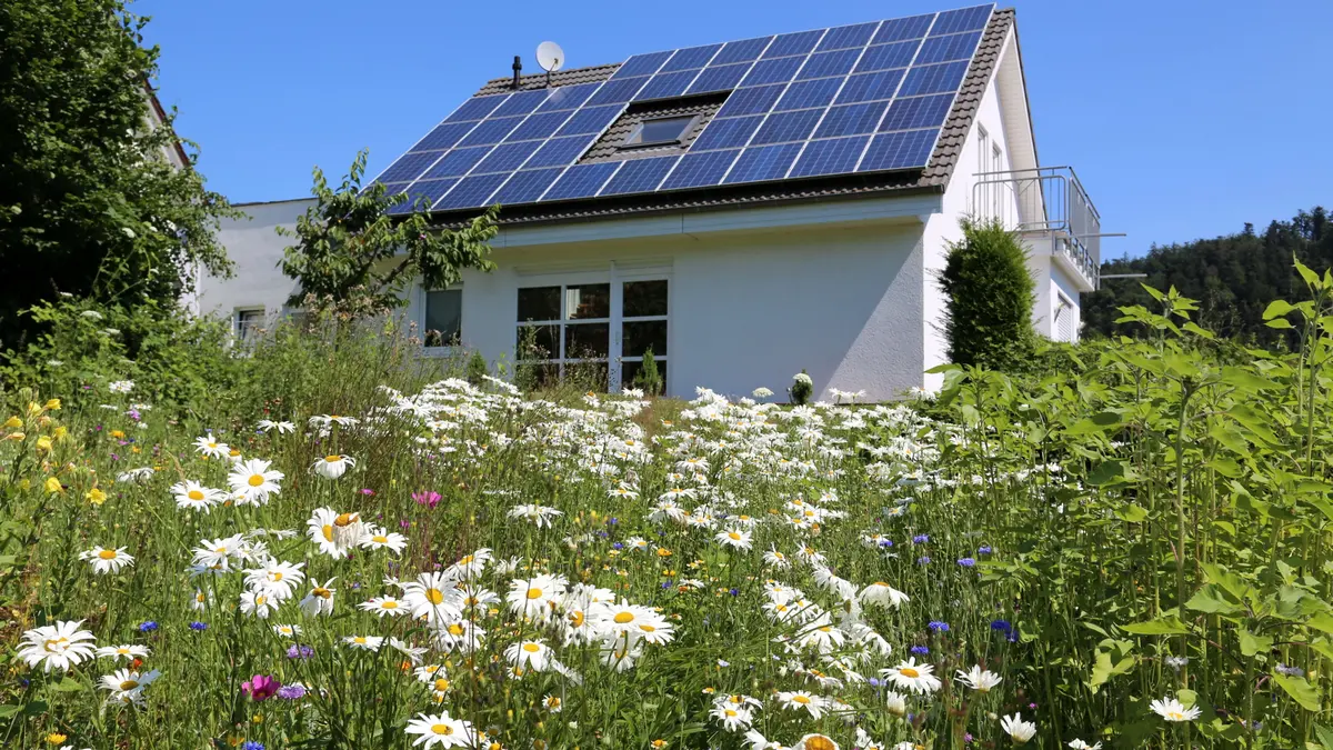 Photovoltaik