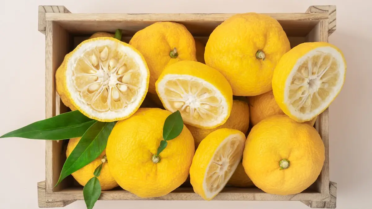 Yuzu in einer Holzkiste
